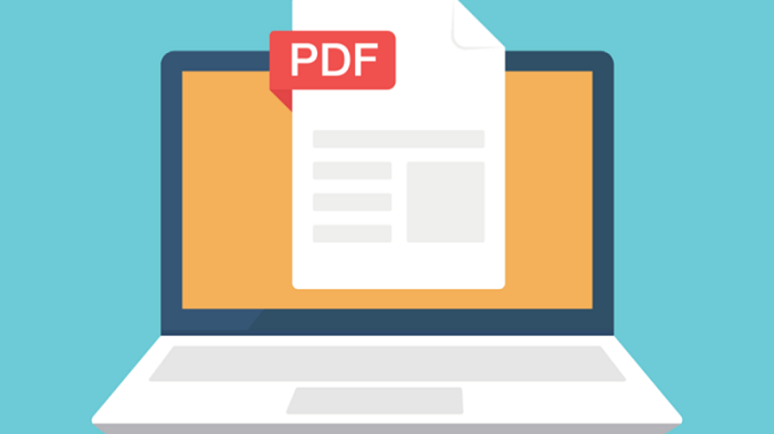 Unlocking PDF Files