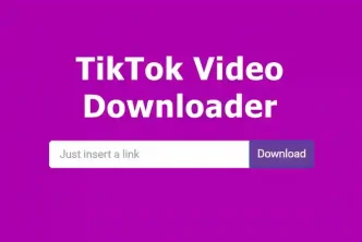 Download TikTok Video Online