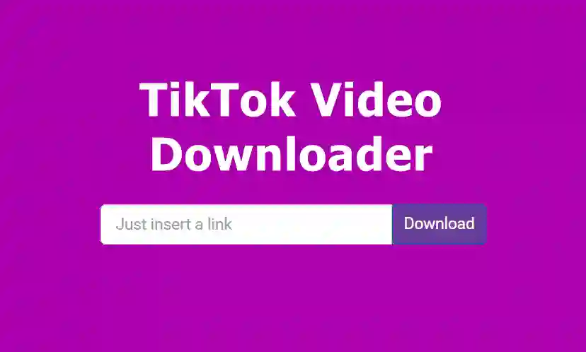 Download TikTok Video Online