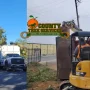 orange county tree services