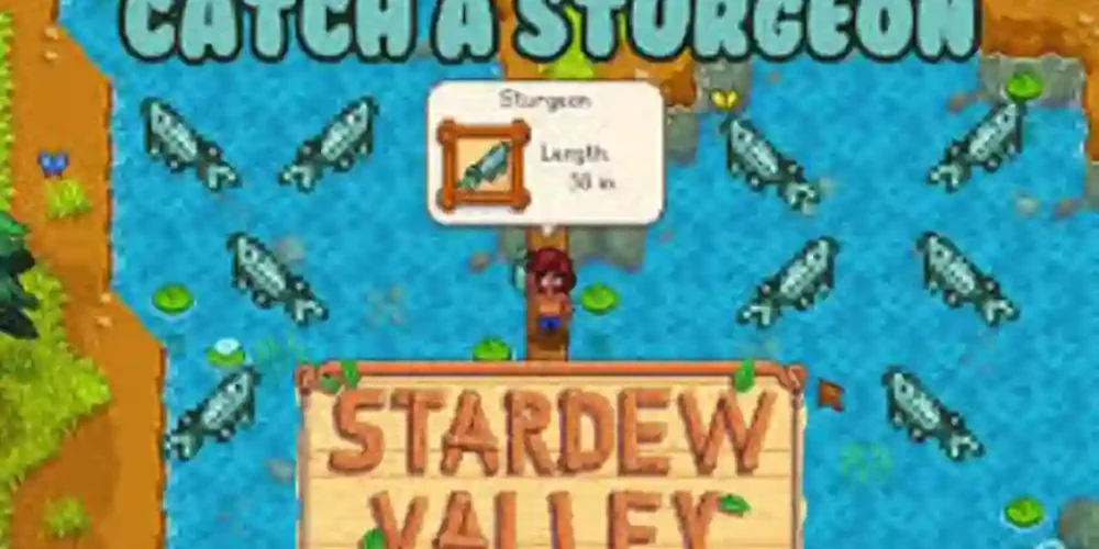 How to catch sturgeon stardew valley