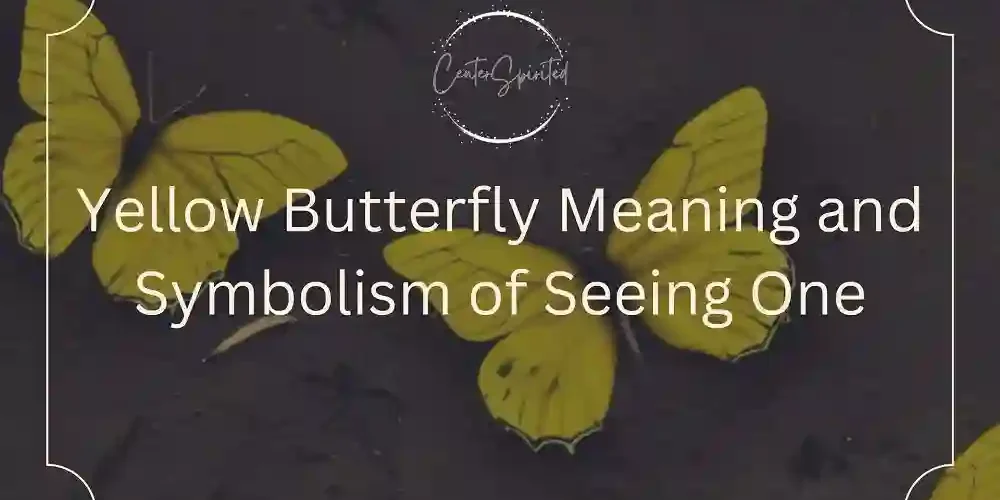 Yellow butterfly meaning