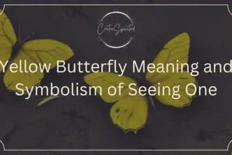 Yellow butterfly meaning